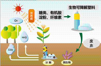 塑料件有機(jī)廢氣處理